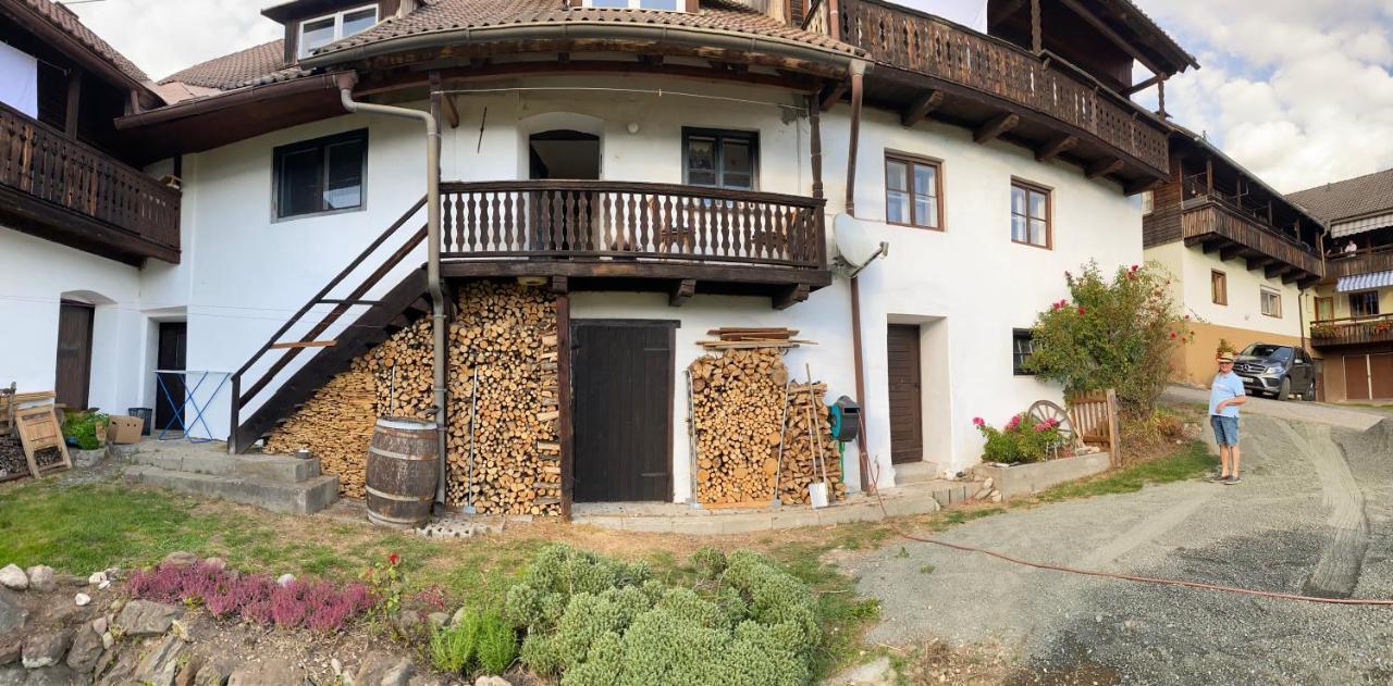 Gailtal Appartements Naehe Skigebiet Wertschach Eksteriør bilde